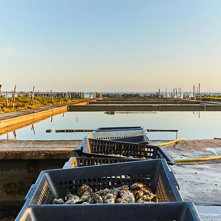 Apartmán En Bord De Avec Balcon Et Parking Prive - 2 Personnes - Fr-1-540-211