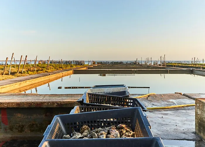 Apartmán En Bord De Avec Balcon Et Parking Prive - 2 Personnes - Fr-1-540-211