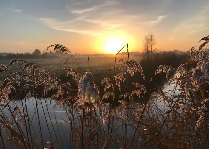 Apartment En Bord De Avec Balcon Et Parking Prive - 2 Personnes - Fr-1-540-211 Notre-Dame-de-Monts